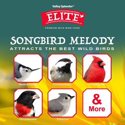 Valley Splendor Songbird Melody bag label highlights premium ingredients for energetic backyard birds.