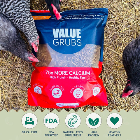 Value Grubs BSF larvae deliver calcium to support shells and bones.