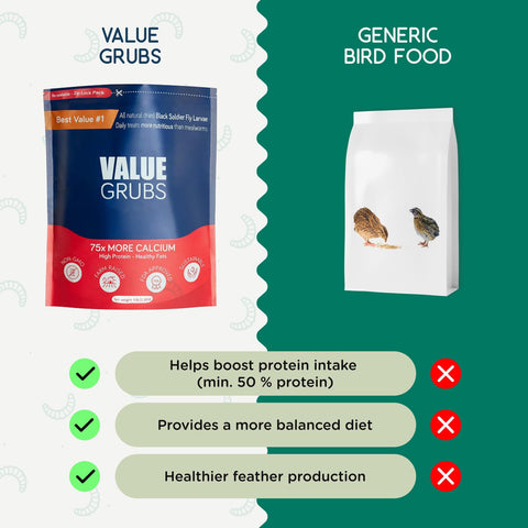 Value Grubs BSF larvae packaging keeps freshness and nutrition labeling clear.