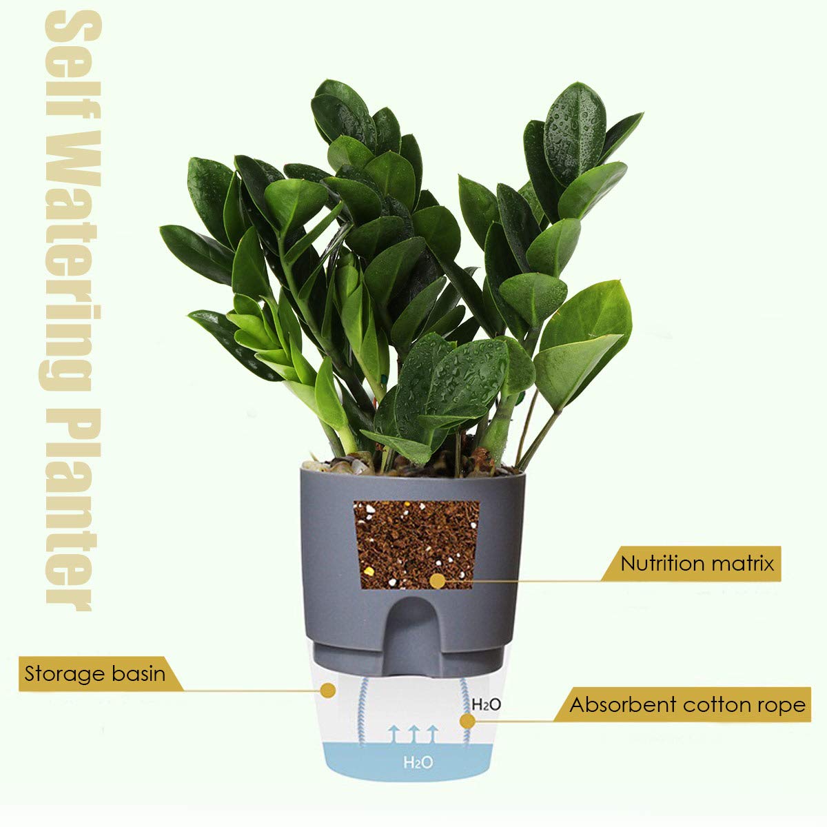 Vanavazon African violet pot with wick rope grey for steady moisture near roots.
