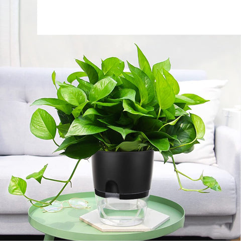 Vanavazon double-layer water storage protects roots from drying out.