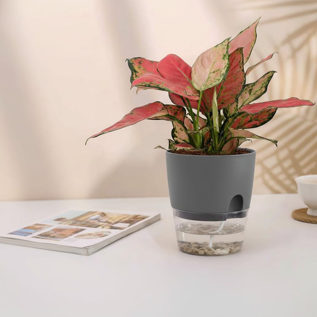 Vanavazon modern round design planter grey enhances windowsills and desks.