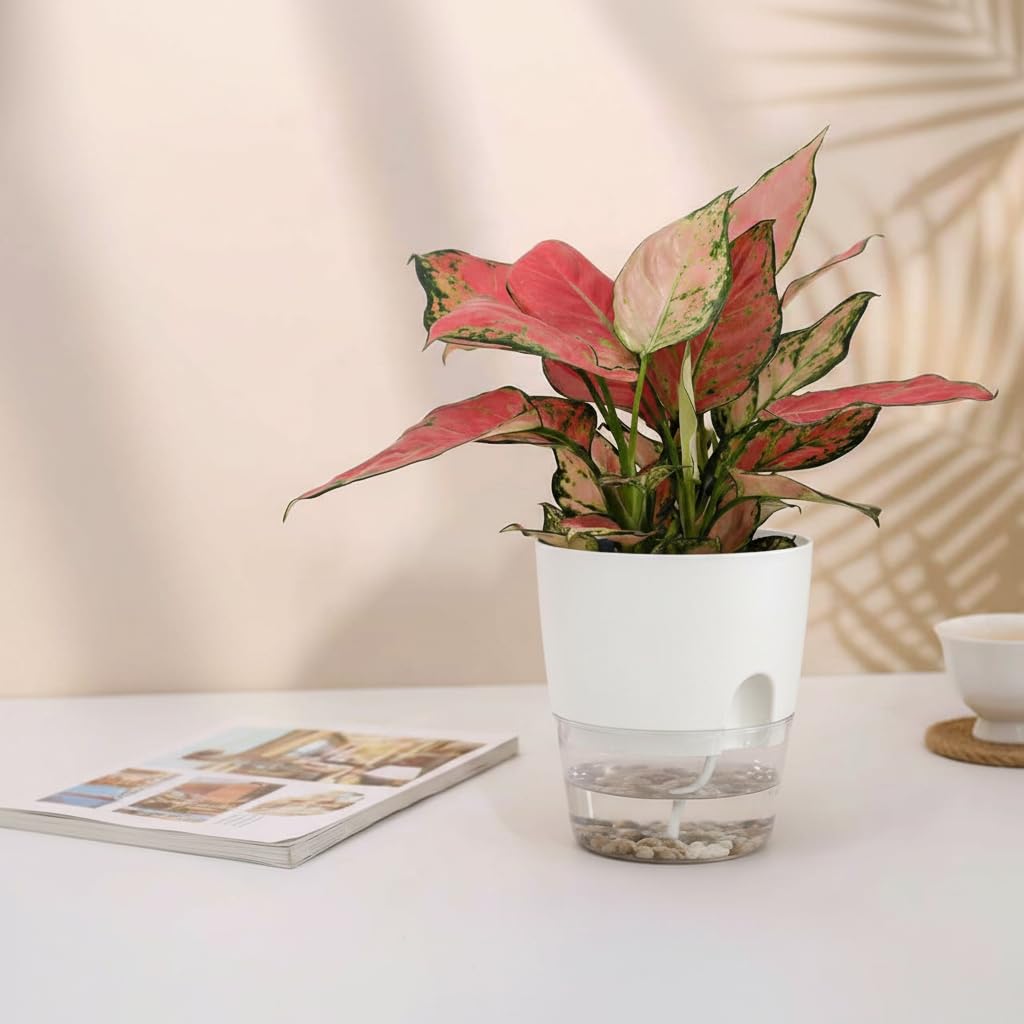 Vanavazon modern round white planter for stylish indoor decor