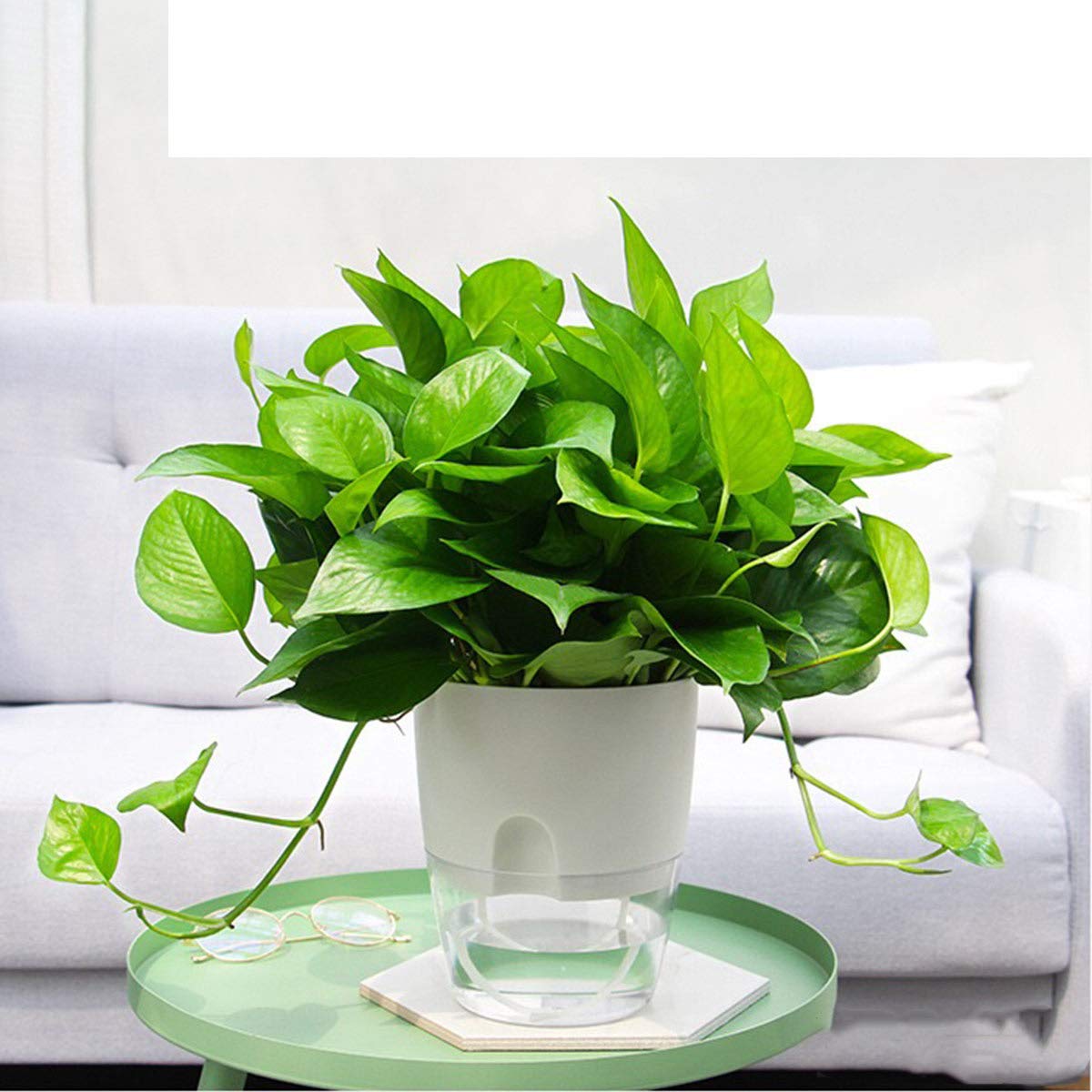 Vanavazon pack-of-3 self-watering planters for multiple indoor plants
