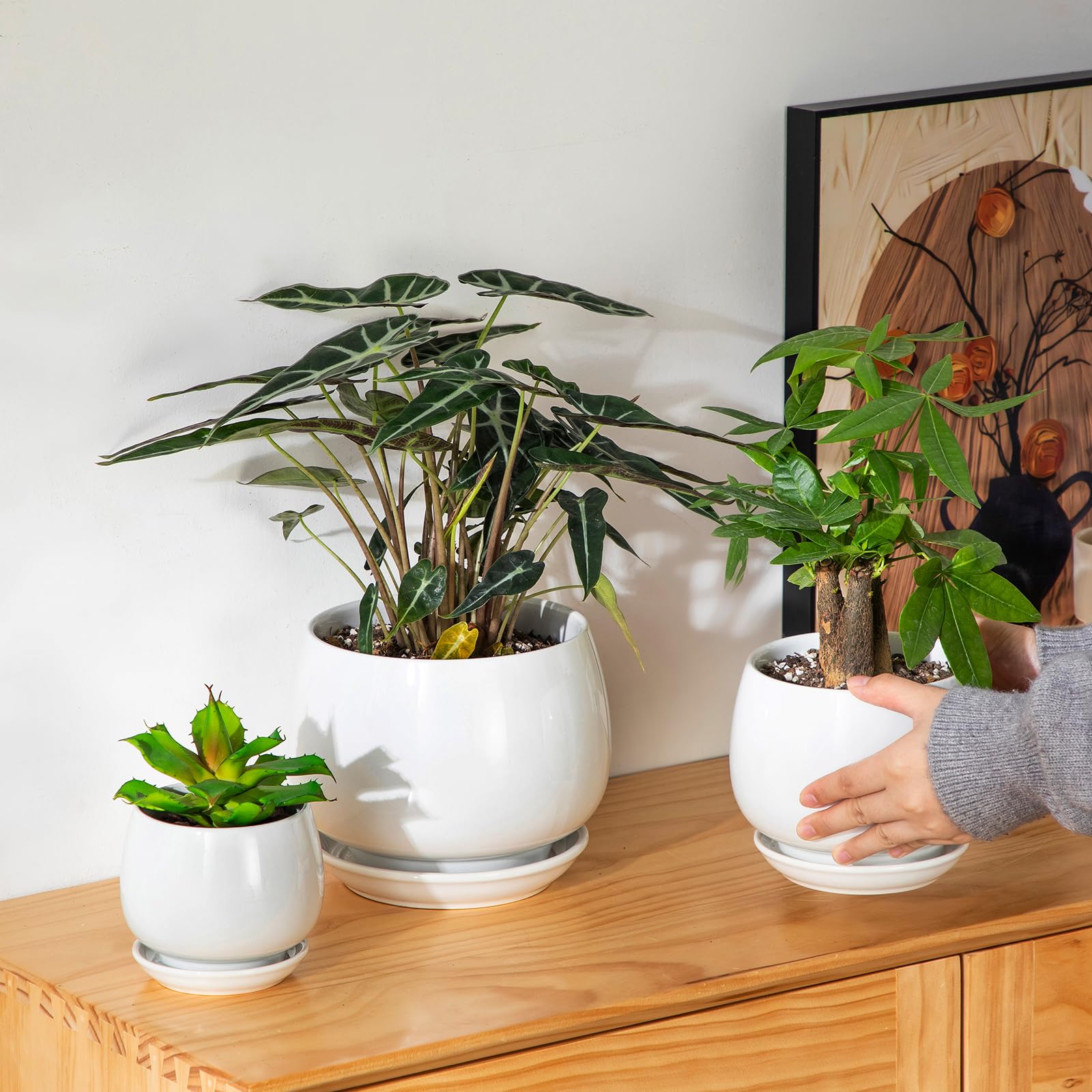 Vancasso 3.7-inch pot ideal for succulents and herbs