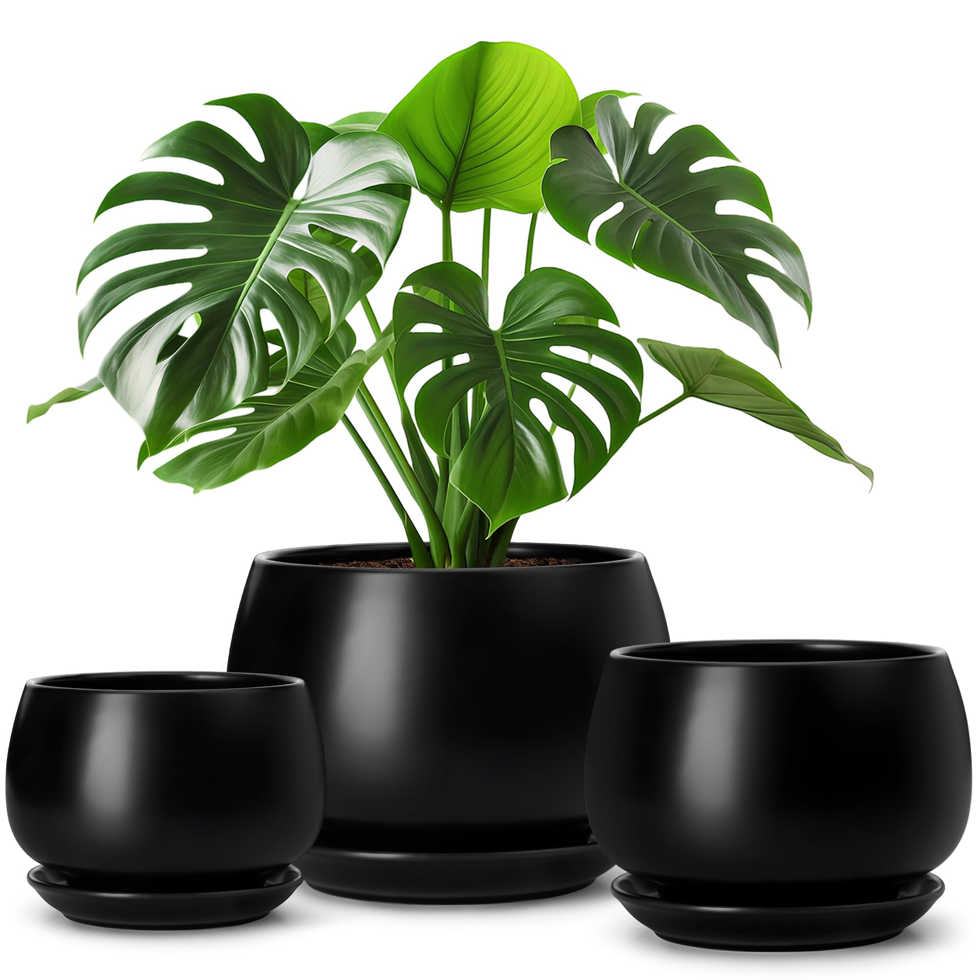Vancasso 3-pack ceramic plant pots arranged together for a stylish display