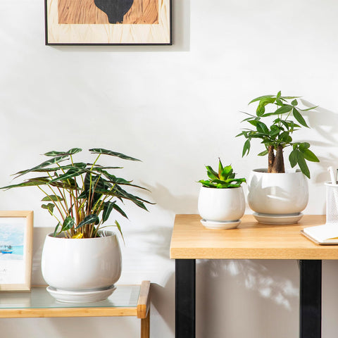 Vancasso 6.2-inch pot accommodates larger plants while matching the trio