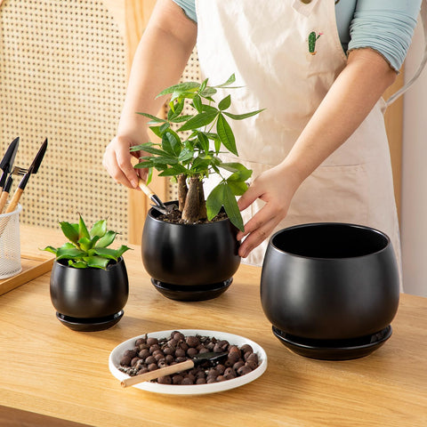 Vancasso 6.2-inch ceramic plant pot with saucer for larger plants