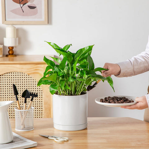 Vancasso easy-clean ceramic surface simplifies maintenance.
