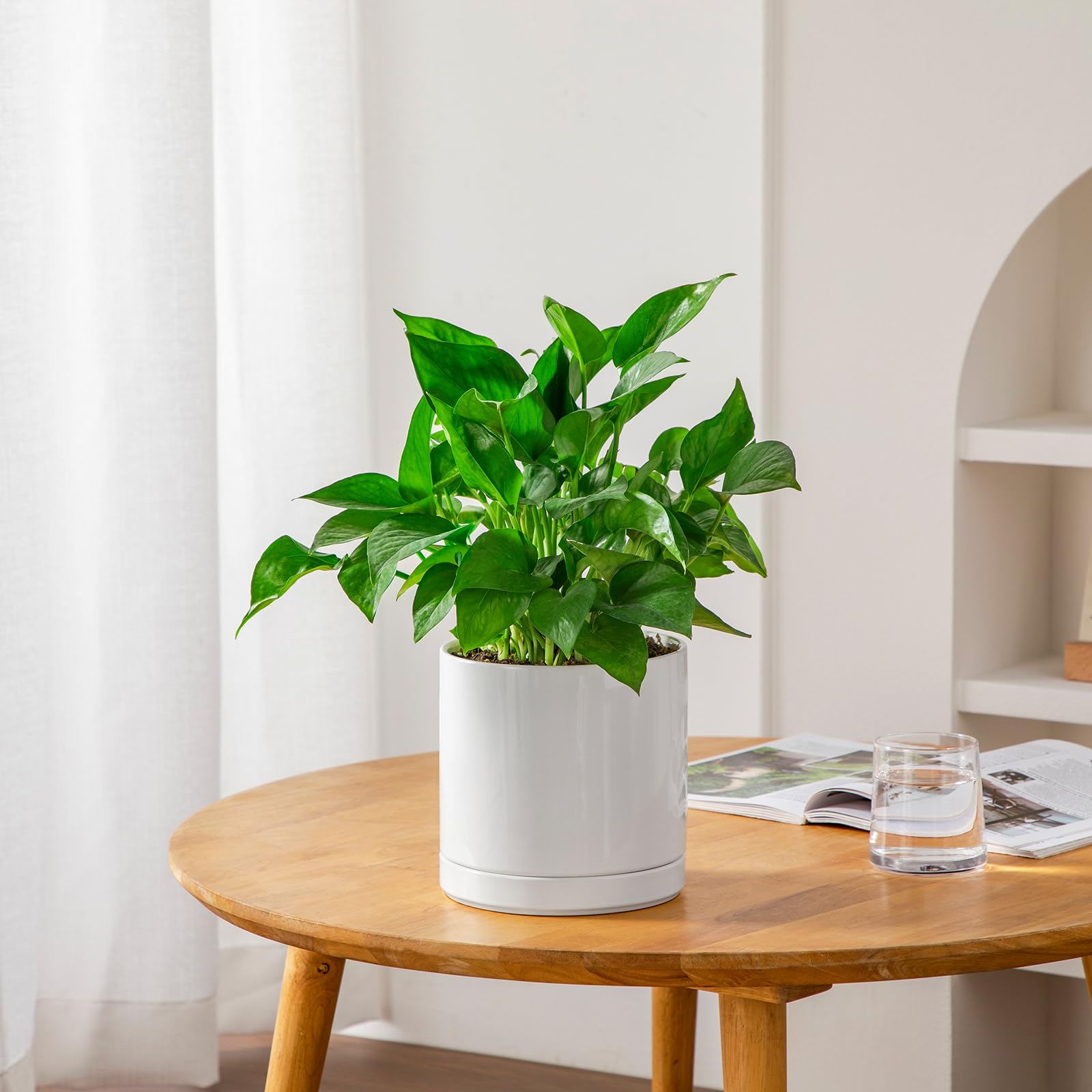 Vancasso gift-ready planter ideal for holidays and birthdays.