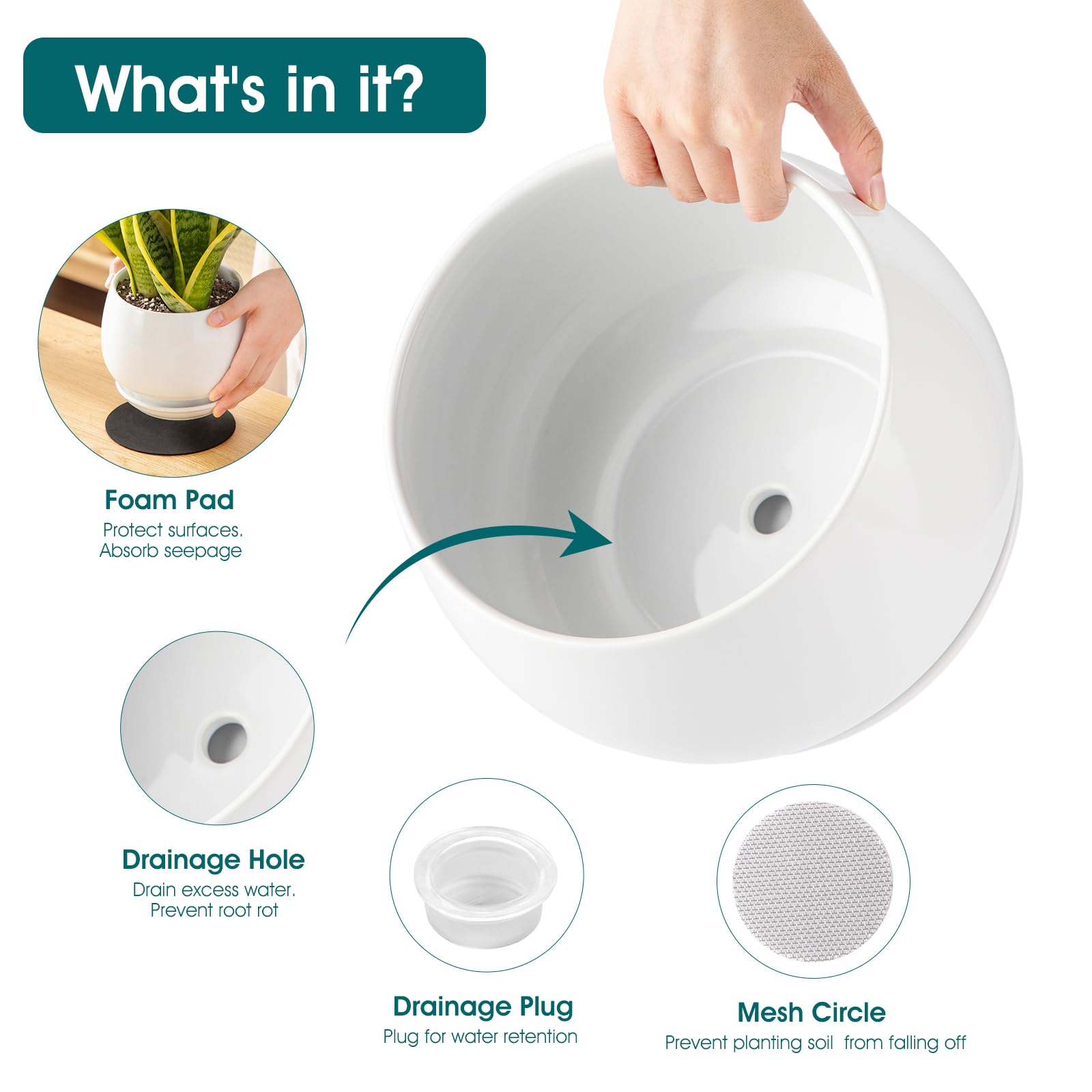 Vancasso integrated saucer design protects surfaces during watering