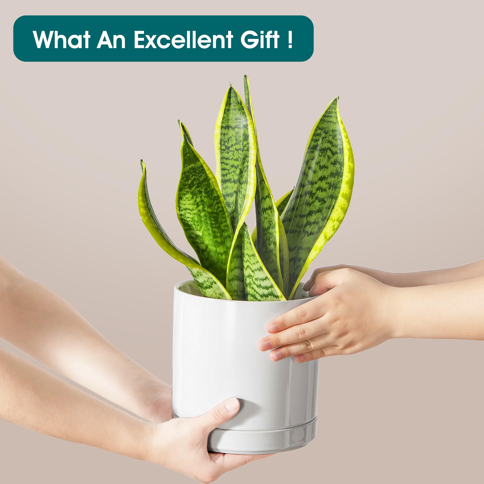 Vancasso modern white ceramic planter complements any decor.