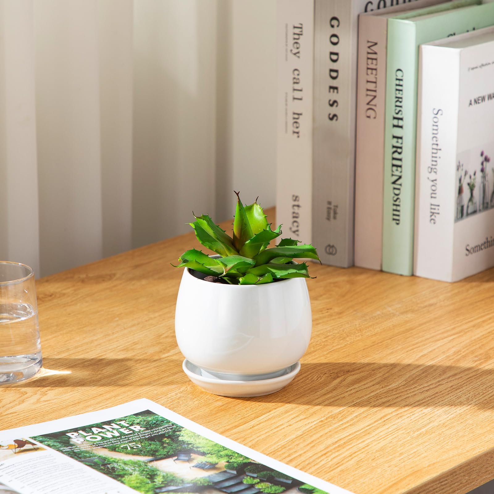 Vancasso planters on a shelf create stylish indoor decor