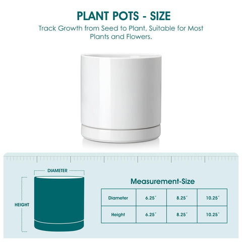 Vancasso pot with drainage holes ensures healthy irrigation for indoor plants.
