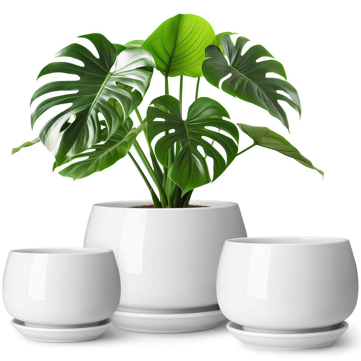 Vancasso three-pack ceramic pots create cohesive indoor plant display