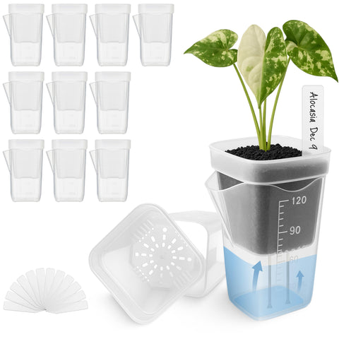 Vandorelle 12-pack 2-inch mini self-watering pots ready for propagation and seed starting.