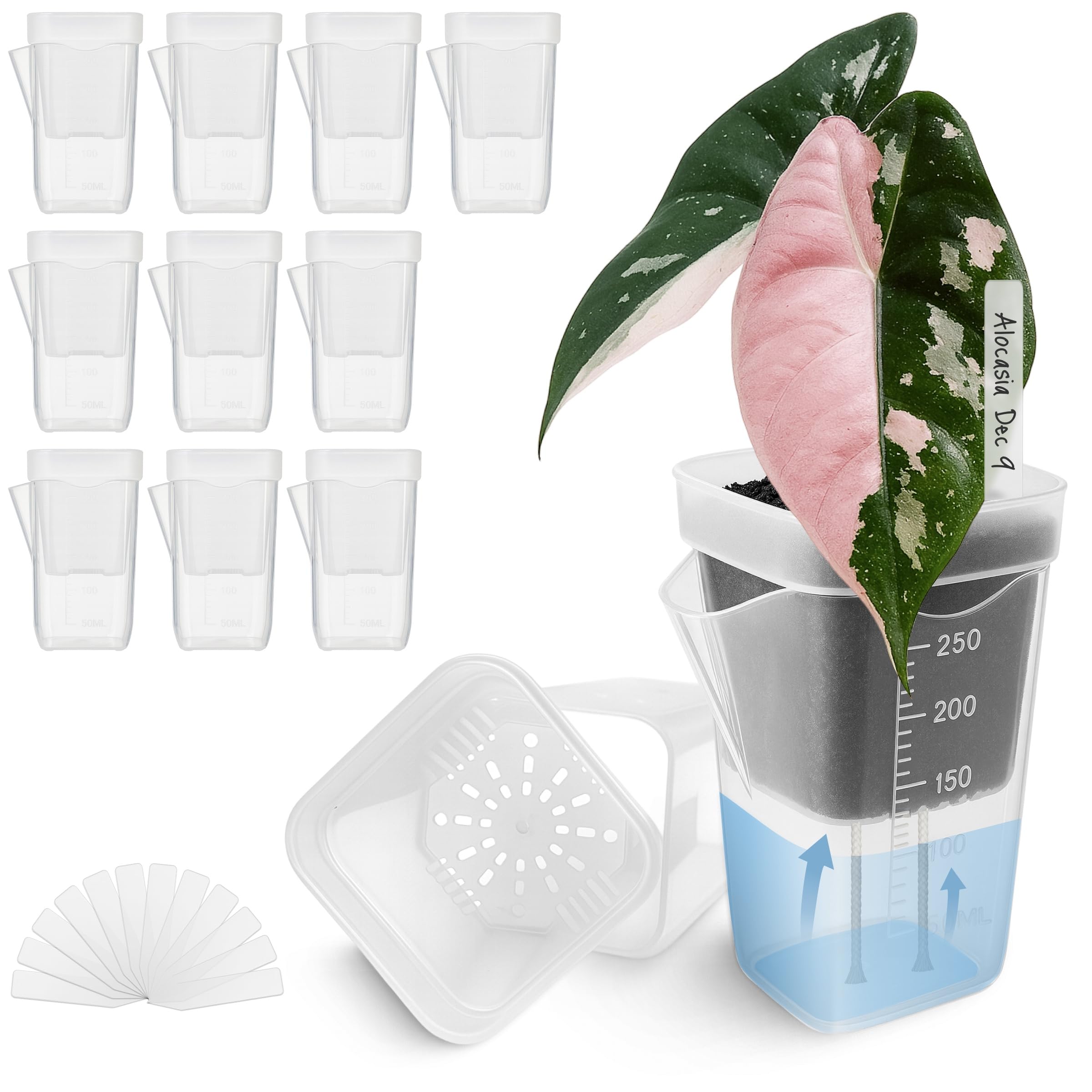 Vandorelle 2.5in self-watering pot inner view for root observation and growth tracking.