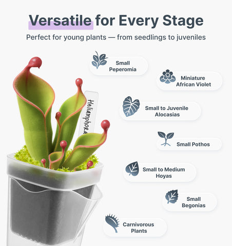Vandorelle inner cup vented design supports healthy root airflow.