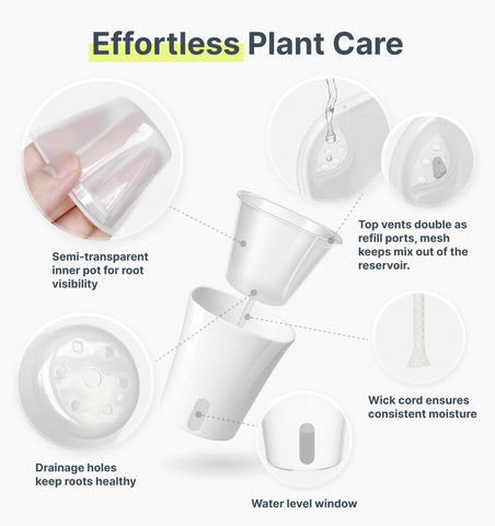 Vandorelle self-watering pot shows drainage holes for healthy moisture management.