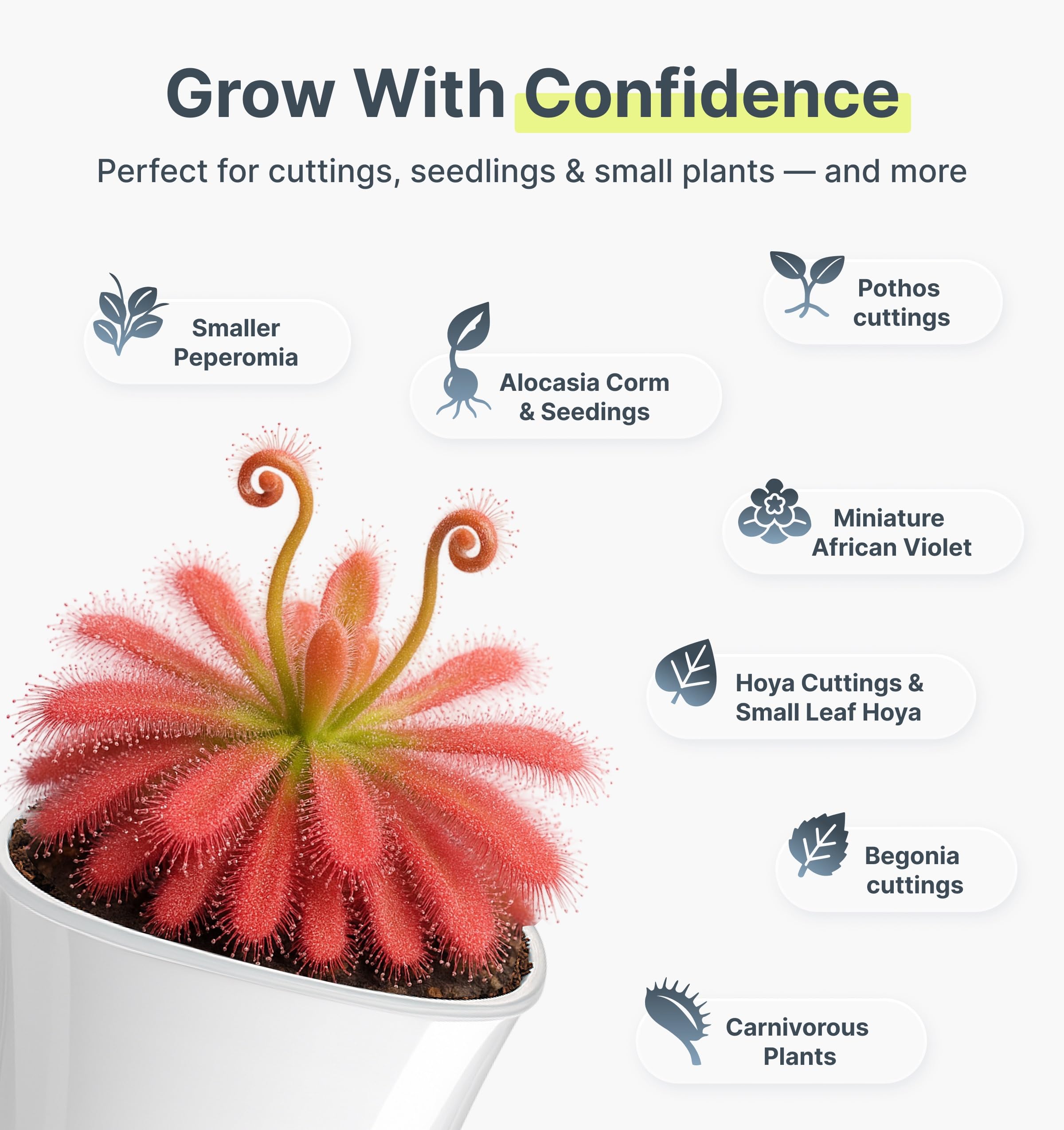 Vandorelle wick system keeps moisture balanced for busy plant parents.