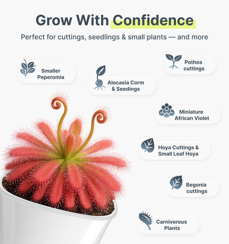 Vandorelle wick system keeps moisture balanced for busy plant parents.