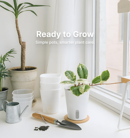 Top-refill design on Vandorelle 4in pot for easy watering