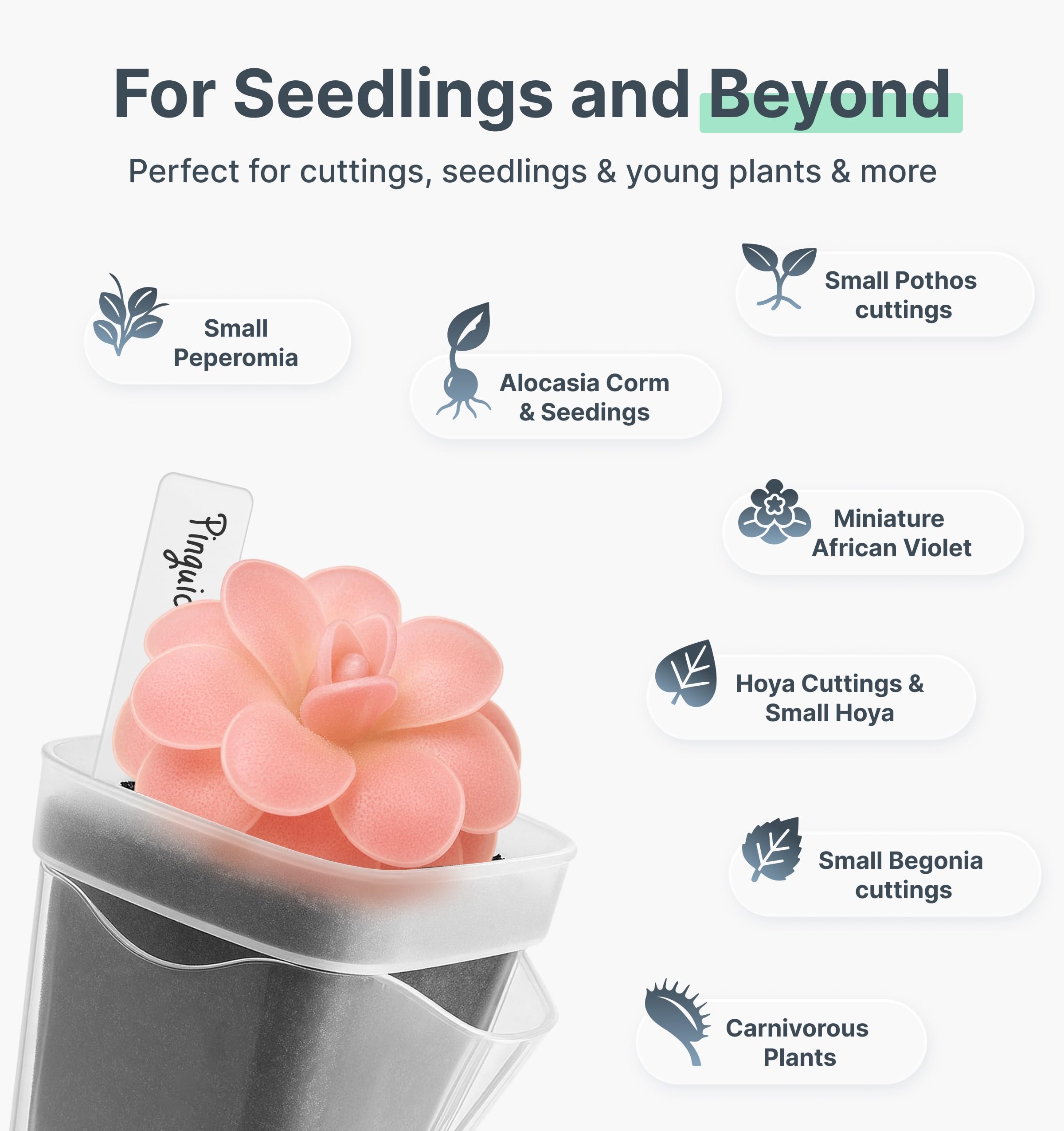 Vandorelle wick-system provides steady hydration for tiny cuttings.