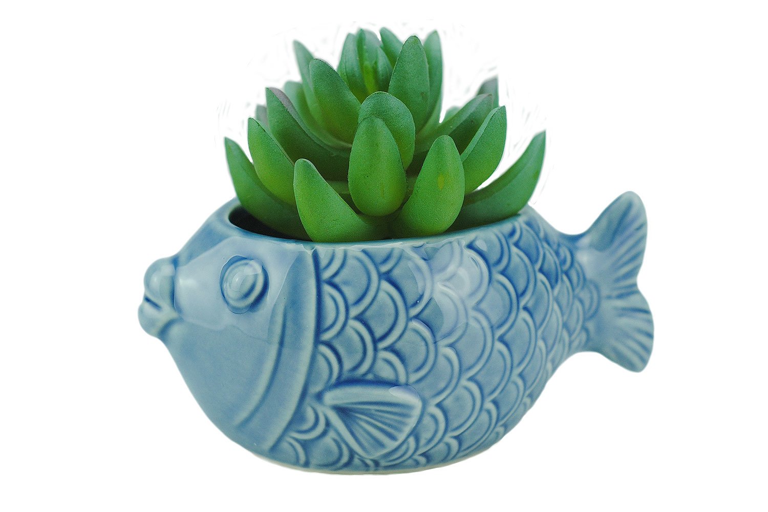 VanEnjoy 5-inch ceramic seashell succulent pot for windowsills and small plant displays.
