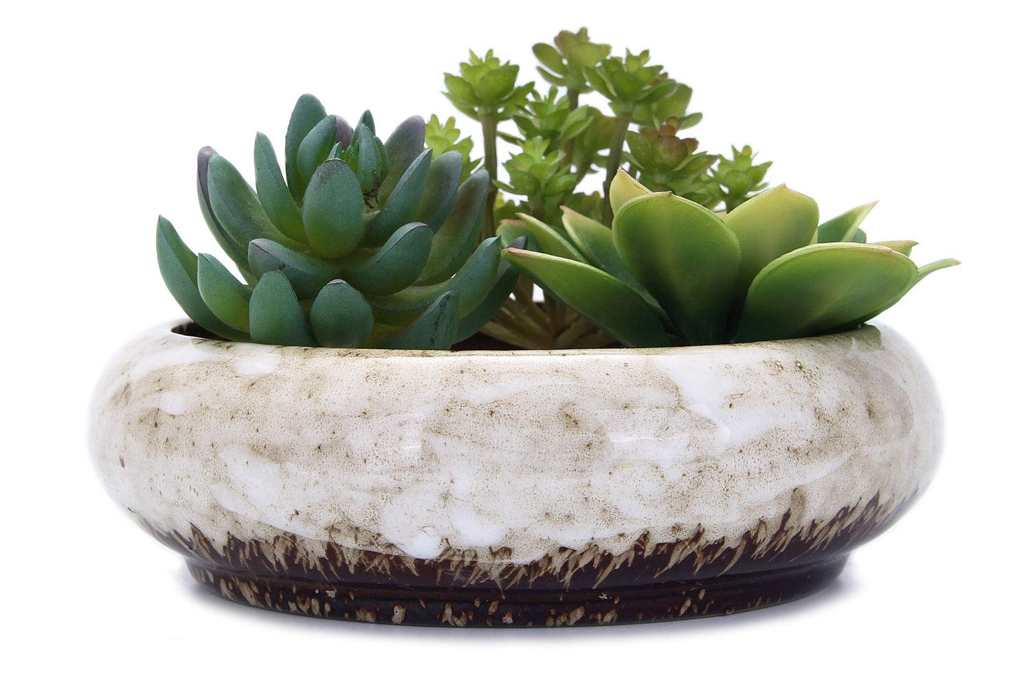 VanEnjoy 7.3-inch round shallow planter for succulents with drainage.