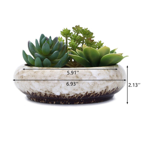 VanEnjoy glazed ceramic planter with drainage hole for bonsai aesthetics.