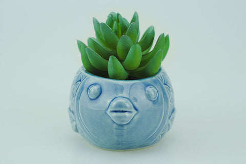 VanEnjoy ocean blue seashell planter adds coastal style to homes and desks.