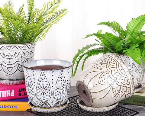 VanEnjoy plant pot complements greenery with warm earthy tones.