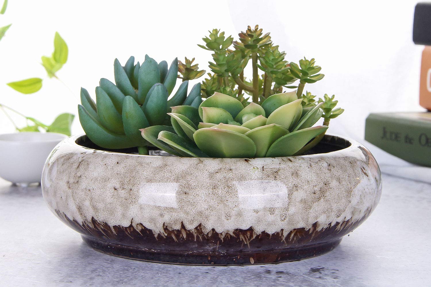 VanEnjoy round bonsai planter in white with durable glaze for easy cleaning.