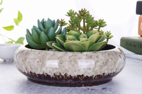 VanEnjoy round bonsai planter in white with durable glaze for easy cleaning.