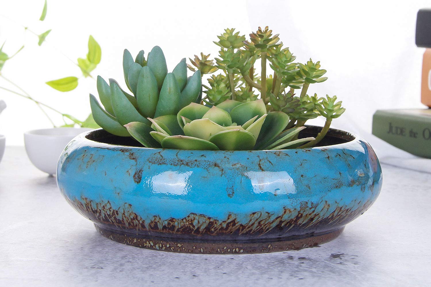 VanEnjoy 7.3-inch round blue planter with drainage hole—helps prevent water buildup.