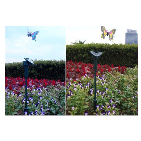 Vanki solar panel energizes butterflies in daylight for fluttering