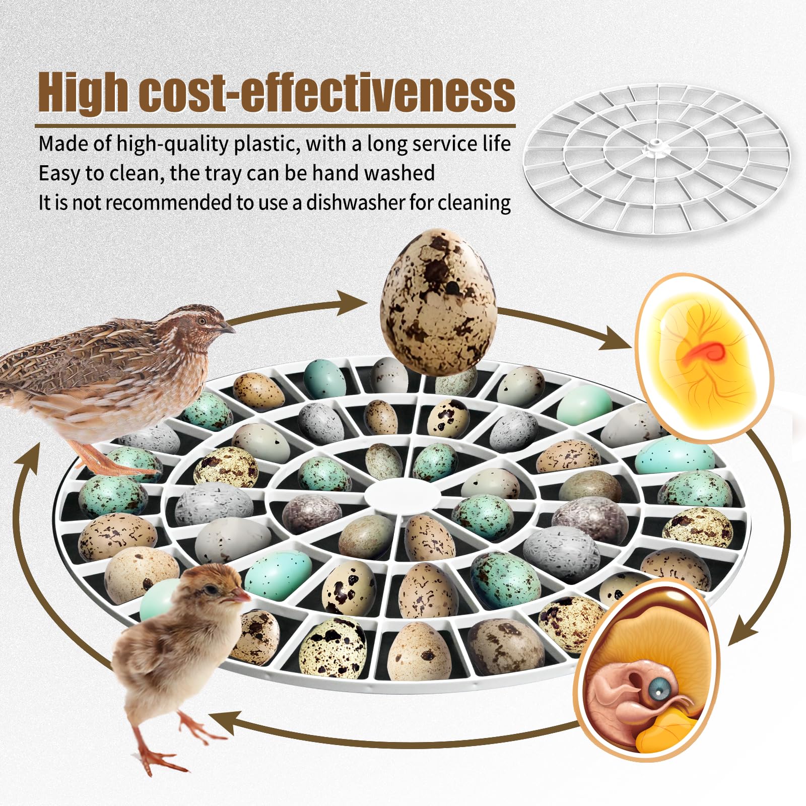 Vanshly egg turner tray showing compatibility with incubators for easy substitution