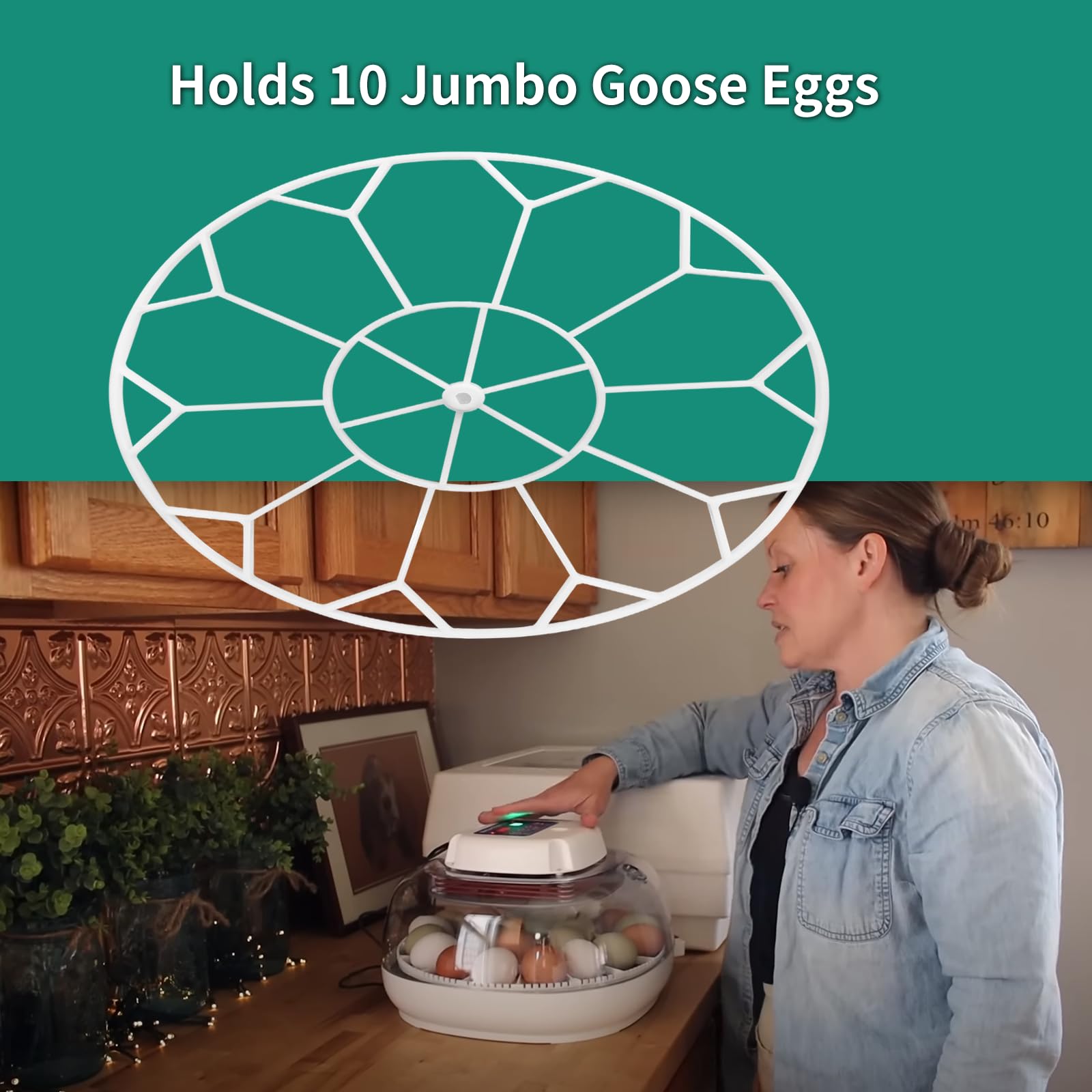 Vanshly JGT360 incubator tray compatible with Turner systems
