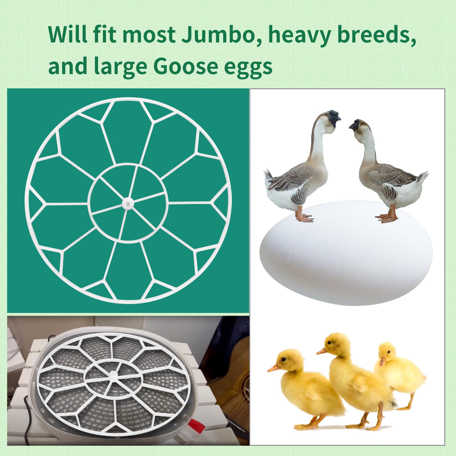 Vanshly JGT360 tray with 10-egg capacity for goose eggs