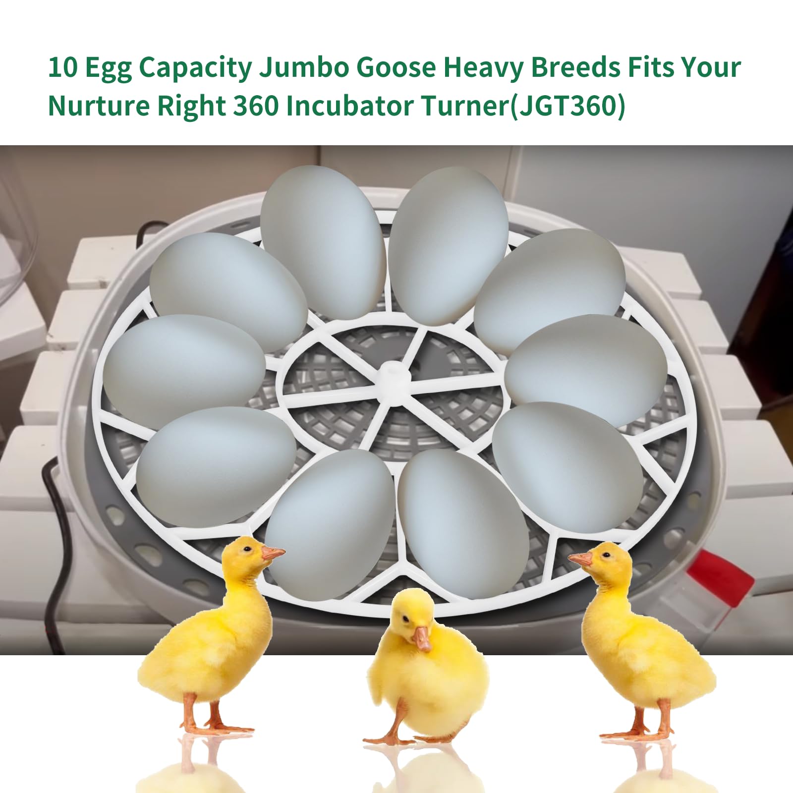 Vanshly JGT360 tray designed for heavy breed eggs securely