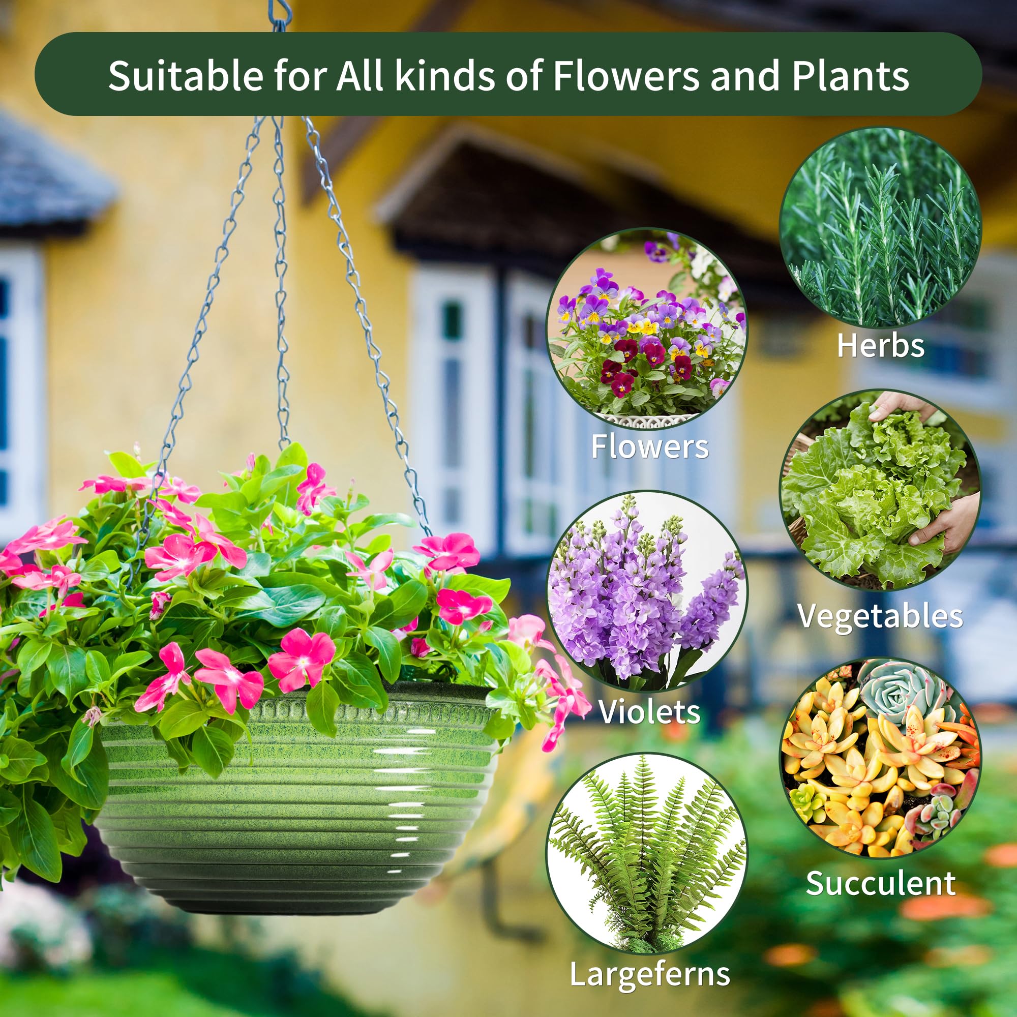 Vanslogreen glazed pots invite lush greenery on windowsills and patios.