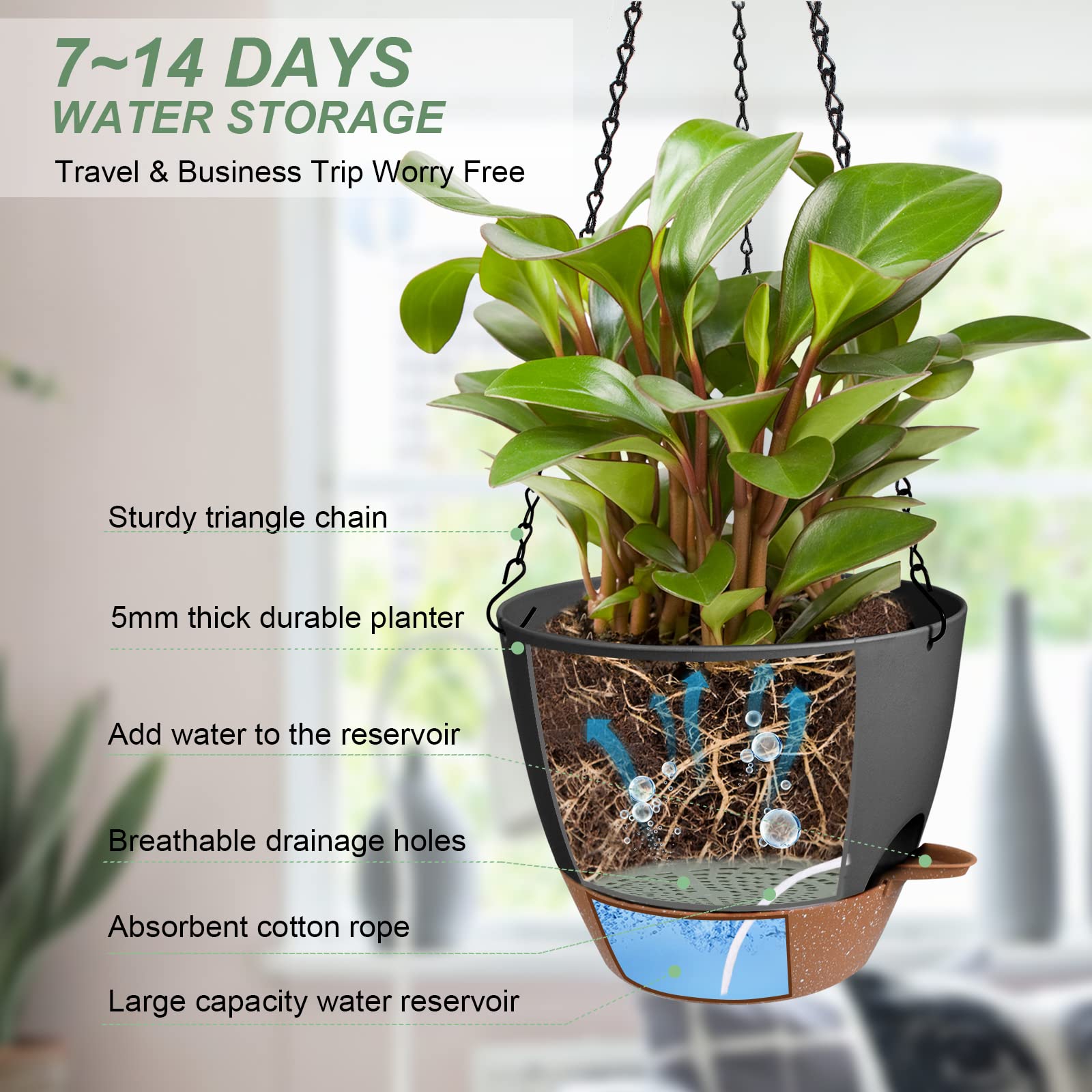Vanslogreen hanging planter with drainage holes promotes moisture balance.