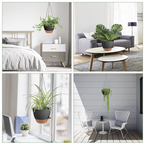 Vanslogreen hanging planter ideal for ivy, ferns, herbs and succulents.