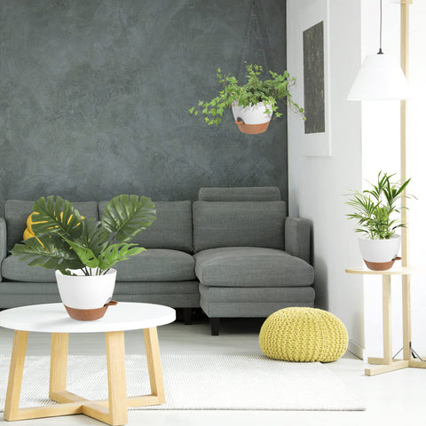 Vanslogreen thick-walled 10-inch planters support lush growth.