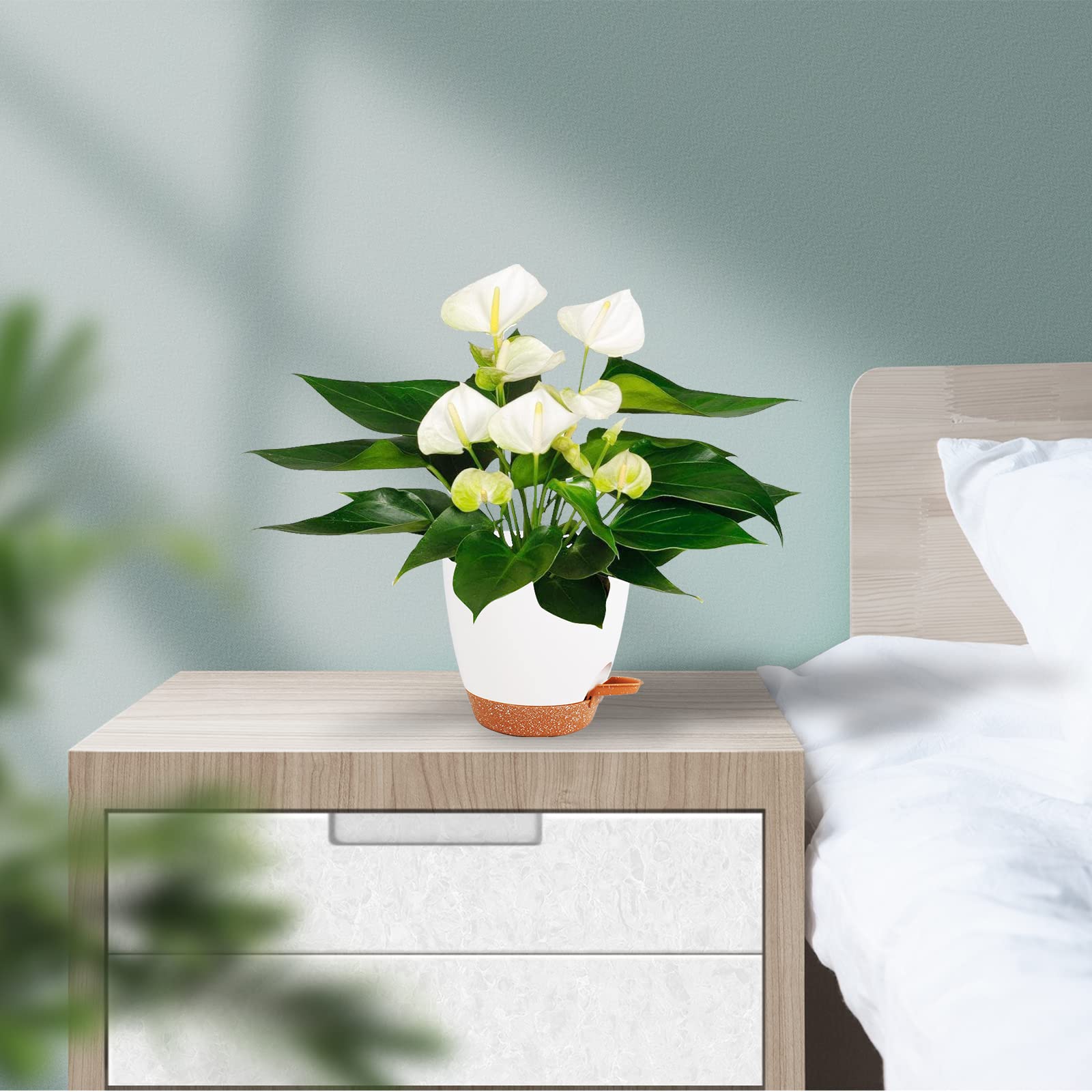 Vanslogreen indoor-outdoor pack white for desks and patios