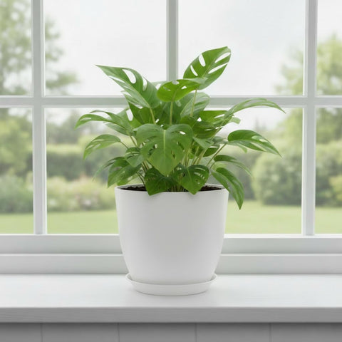 Vanslogreen durable plastic pots resist cracking and fading in sun