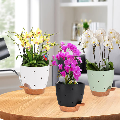 Vanslogreen multicolor 3-pack orchid pots for indoor and outdoor use