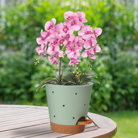 Vanslogreen orchid pots feature drainage holes to prevent overwatering and puddling.