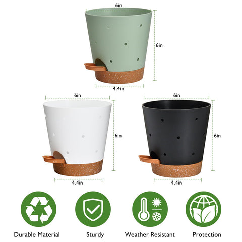 Vanslogreen perforated pots promote airflow around orchid roots for healthier growth.