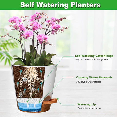Vanslogreen 6-inch pot set with multicolor design enhances home decor and orchid care.